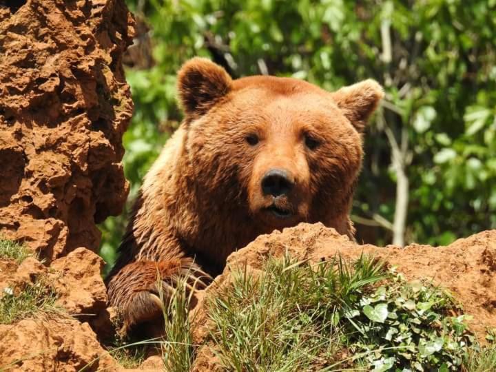 Los Rosales Ампуэро Экстерьер фото
